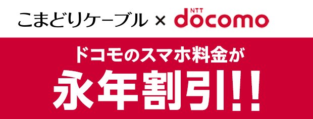 ドコモタイプC