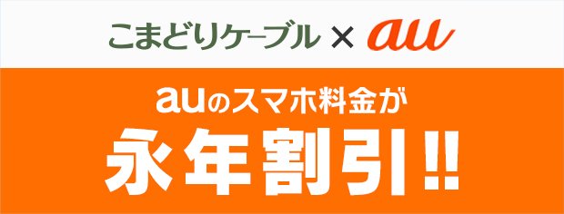 au スマートバリュー